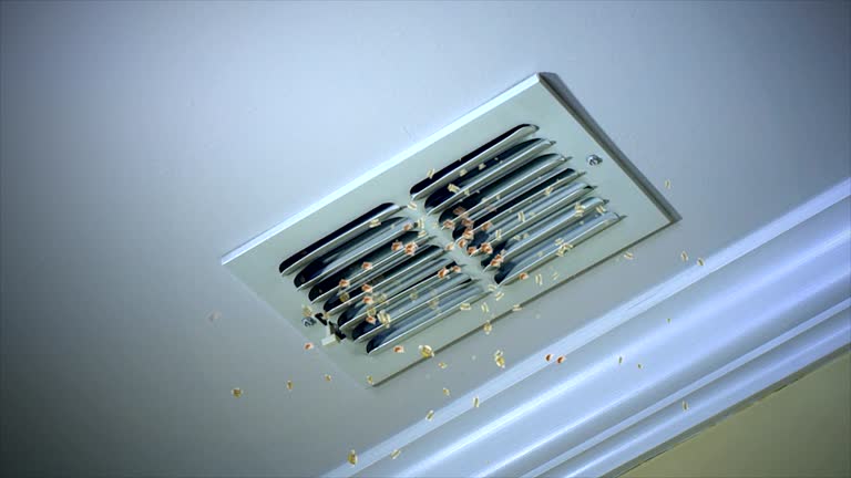 Best Air Vent Cleaning Services  in Soh Willard, UT