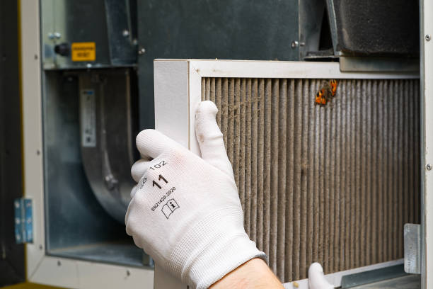 Best Ductwork Cleaning Services  in Soh Willard, UT